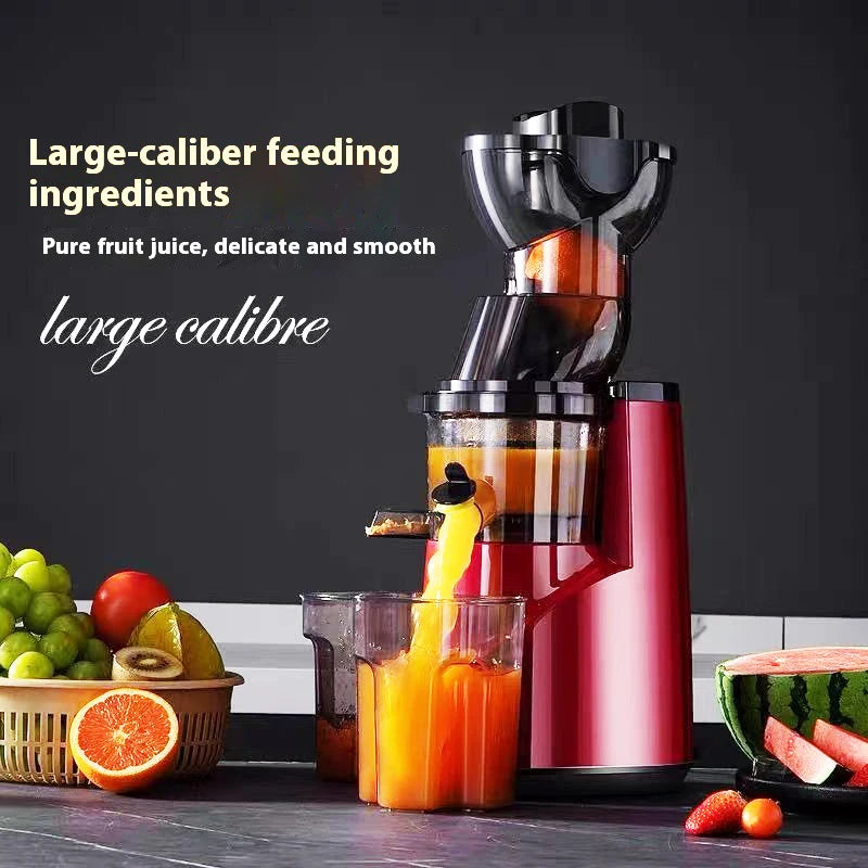 220V Automatic Cold Press Juicer with Slag Separation
