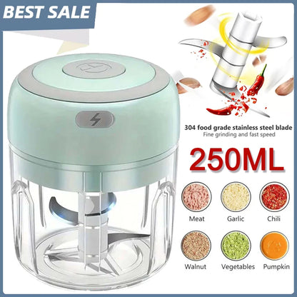 Mini Electric Stainless Steel Garlic Chopper (250ml)