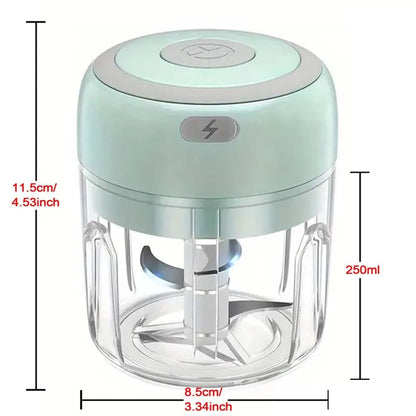 Mini Electric Stainless Steel Garlic Chopper (250ml)