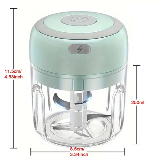 Mini Electric Stainless Steel Garlic Chopper (250ml)