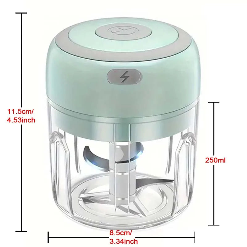 Mini Electric Stainless Steel Garlic Chopper (250ml)