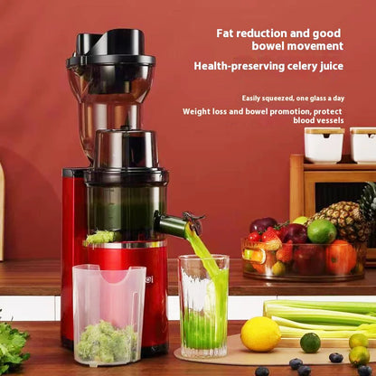 220V Automatic Cold Press Juicer with Slag Separation