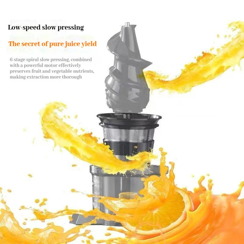 220V Automatic Cold Press Juicer with Slag Separation