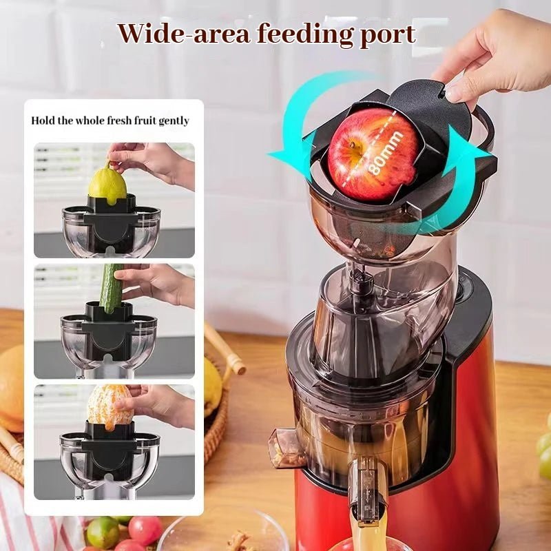 220V Automatic Cold Press Juicer with Slag Separation