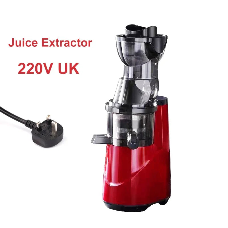 220V Automatic Cold Press Juicer with Slag Separation