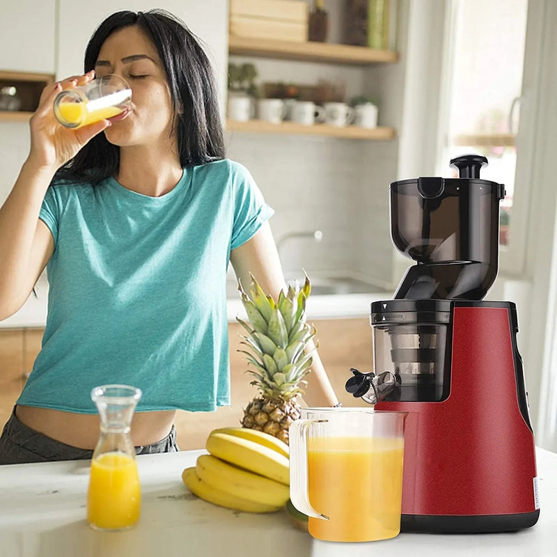 220V Automatic Cold Press Juicer with Slag Separation